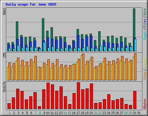 Daily usage for June 2025