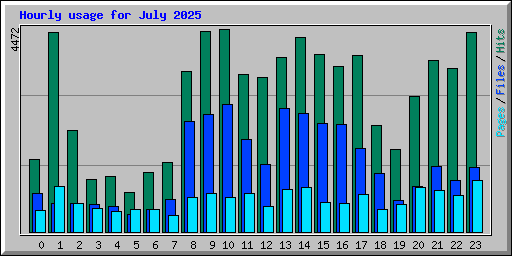 Hourly usage for July 2025