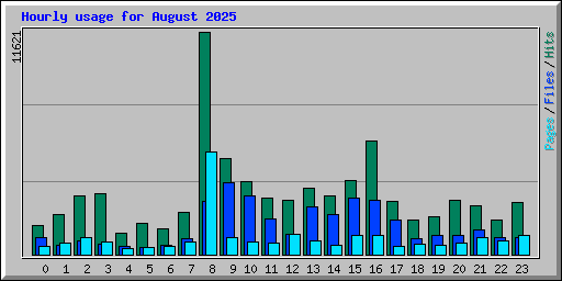 Hourly usage for August 2025