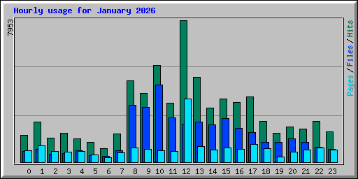 Hourly usage for January 2026